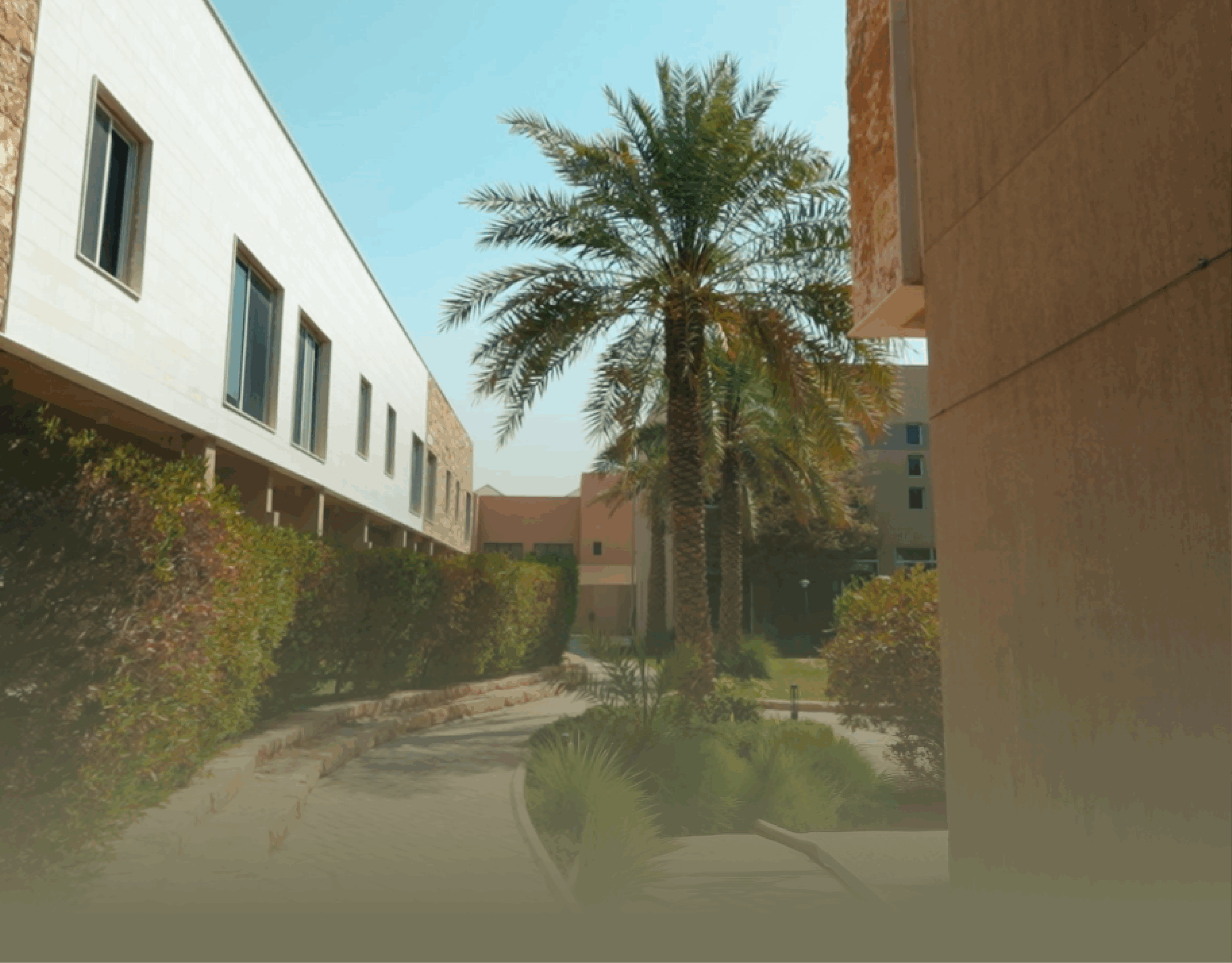 الدور الأرضي